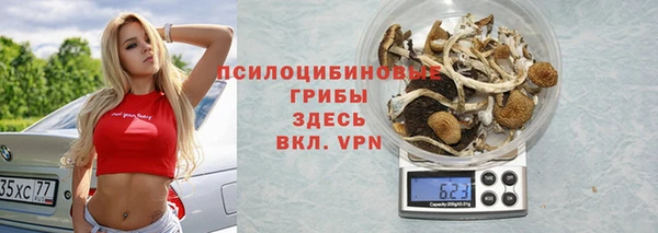 сатива Абдулино