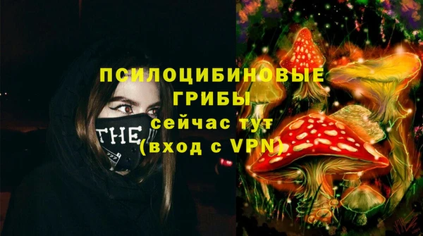 сатива Абдулино