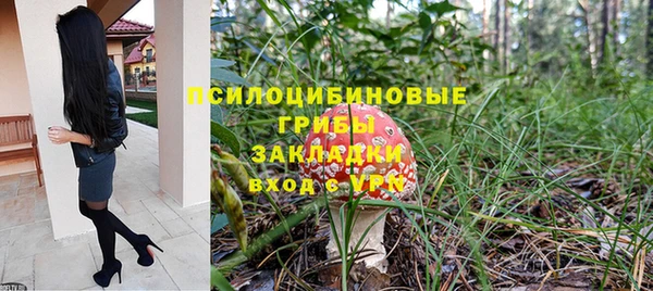 ешки Абаза