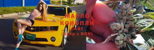 молекула духа Надым