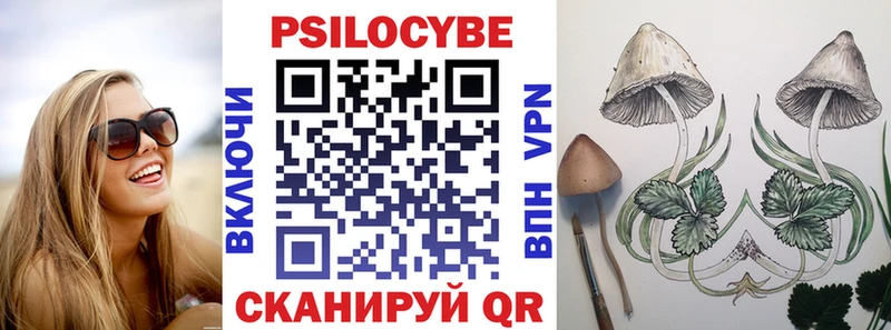 купить OMG ONION Псилоцибиновые грибы прущие грибы Серпухов