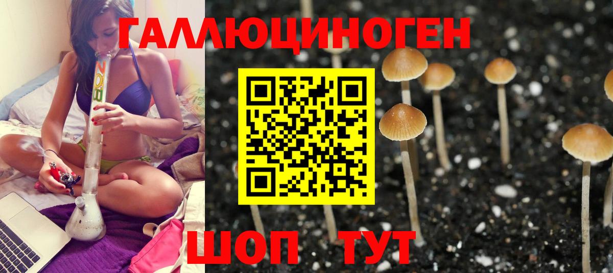 Псилоцибиновые грибы MAGIC MUSHROOMS  Вход с VPN  где найти   Серпухов  Галлюциногенные грибы GOLDEN TEACHER 